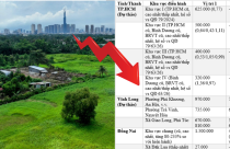 BẢNG GIÁ ĐẤT 2026: Đất Nông Nghiệp TP.HCM thấp hơn Vĩnh Long, Đồng Nai