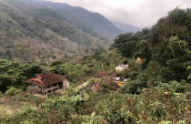 Thanh Hóa “bật đèn xanh” chuyển gần 15 ha rừng để mở rộng một cụm công nghiệp