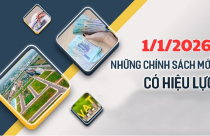 Loạt chính sách mới ảnh hưởng trực tiếp tới người dân có hiệu lực ngay từ 1/1/2026
