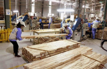 Điều chỉnh chính sách thuế nhập khẩu đối với gỗ vào Hoa Kỳ