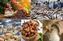 Xuất khẩu nông, lâm, thủy sản năm 2025 đạt 70,09 tỷ USD, mức cao nhất từ trước tới nay