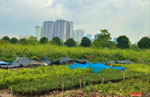 Bất động sản 2026: Loạt chính sách mới định hình chu kỳ phát triển mới