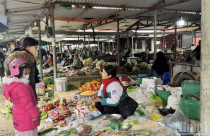 Kinh tế vĩ mô trong nước tiếp tục ổn định, lạm phát được kiểm soát ở mức phù hợp