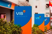 Doanh nghiệp tại TPHCM thoái bớt vốn khỏi VIB