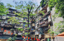 Hà Nội tổng kiểm tra toàn bộ chung cư cũ tại 48 xã, phường