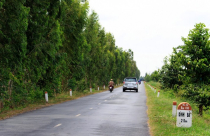 Bộ Xây dựng vừa có văn bản trả lời liên quan đến sửa chữa, nâng cấp Quốc lộ 80, Quốc lộ 30B