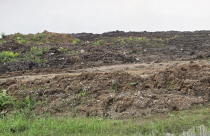 Đồng Nai tổng rà soát đất công sau vụ tập kết trái phép hơn 110.000 m3 đất san lấp