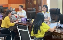 Từ năm 2026, người nộp thuế không phải kê khai, nộp phí môn bài