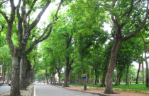 Hà Nội sắp “thay áo” loạt phố trung tâm: Thanh Niên, Tràng Tiền, Hoàng Diệu sẽ khác ra sao?