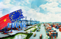 Việt Nam - EU: Hướng tới nâng cấp quan hệ lên đối tác chiến lược toàn diện