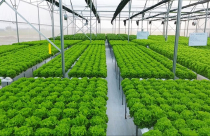 Năm 2026: Mục tiêu xuất khẩu nông lâm thủy sản đạt 74 tỷ USD, chuyển mạnh từ "lượng" sang "chất"