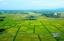 Sửa đổi, bổ sung quy định về phân cấp, phân quyền, phân định thẩm quyền trong lĩnh vực đất đai