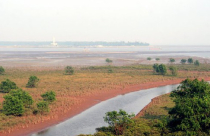 Đất bãi bồi sử dụng ổn định có được bồi thường khi thu hồi?