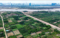 Quy định tính tiền sử dụng đất khi chuyển mục đích từ đất vườn, đất nông nghiệp sang đất ở