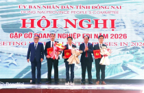 Đồng Nai trao giấy chứng nhận đầu tư cho 3 dự án FDI gần 550 triệu USD