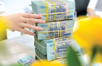 Thị trường tiền tệ đầu năm: Tỷ giá ổn định, lãi suất nhích lên, tín dụng bất động sản vẫn chiếm tỷ trọng lớn