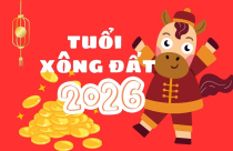 Chọn tuổi xông đất đầu năm Bính Ngọ 2026, rước may mắn tài lộc