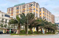 Hải Phòng siết nhà ở xã hội: Hồ sơ xác nhận tối đa 7 ngày, bốc thăm công khai nếu vượt số căn