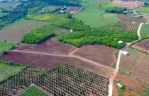 Trường hợp nào được cấp Giấy chứng nhận và miễn tiền sử dụng đất?