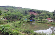 Căn cứ xác định là đất vườn, ao gắn liền đất ở