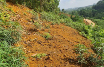 Đất khai hoang năm 2025 có được công nhận quyền sử dụng?