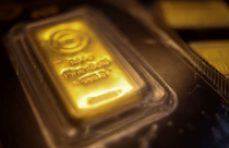 'Cá mập' đang gom vàng