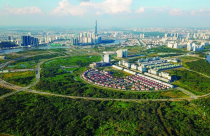 Lập đường dây nóng tiếp nhận, xử lý thông tin vi phạm quản lý và sử dụng đất đai