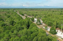 Bất động sản 24h: Điều kiện mới chuyển mục đích sử dụng đất lúa, đất rừng dưới 2ha tại Cần Thơ