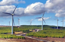 Doanh nghiệp nào thực hiện dự án gần 4.679 tỷ đồng tại Gia Lai?