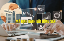 Làm thế nào để tra cứu mã định danh điện tử bất động sản?