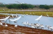 Ninh Bình sắp có khu sinh thái hơn 464 tỷ đồng