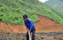 Đất nông nghiệp vượt hạn mức có phải chuyển sang thuê đất?