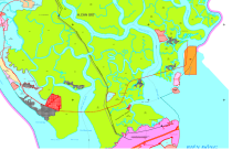 TP.HCM có đến 73.000 ha rừng: Tăng "lá phổi xanh" cho siêu đô thị