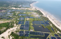 Tiến độ triển khai 2 dự án quy mô gần 100.000 tỷ đồng tại Lâm Đồng