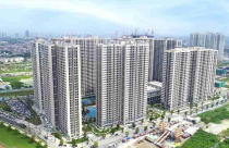 Một công ty địa ốc lãi 8,8 tỷ đồng