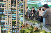 Hơn 1.500 doanh nghiệp kinh doanh bất động sản thành lập mới trong quý 1/2026