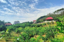 Loại đất và hạn mức công nhận đất ở sau sáp nhập