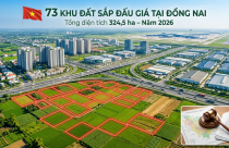 TOÀN CẢNH 73 khu đất chuẩn bị ĐẤU GIÁ tại Đồng Nai