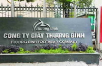Sau thương vụ Vinaconex, An Quý Hưng Holding tiếp tục gom cổ phần Giầy Thượng Đình