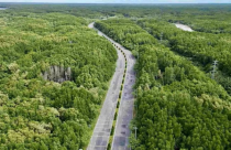 TP.HCM chấp thuận lập đề xuất nâng cấp đường Rừng Sác lên 10 làn xe, vốn hơn 19.000 tỷ đồng