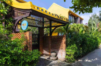 Ngôi nhà Đông Dương của người viễn xứ giao hưởng giữa hơi thở hiện đại và di sản Hội An