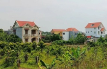 Đất trồng cây lâu năm đã xây nhà có được cấp Giấy chứng nhận?