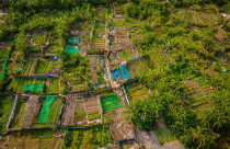 Hà Nội giao hơn 1,4 ha đất cho doanh nghiệp phát triển tổ hợp nhà ở thương mại