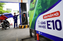 Doanh nghiệp xăng dầu sẵn sàng cho ngày "phủ sóng" toàn quốc xăng E10 từ 1/6