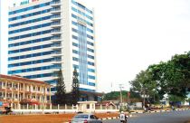 HAGL: Tháo chạy bất động sản, đổ tiền vào nông nghiệp