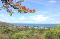 Bình Thuận: Thu hồi 4 dự án khu du lịch với hơn 20ha đất