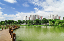 TP.HCM: Kiểm tra việc đầu tư hạ tầng, công viên cây xanh ở các dự án lớn