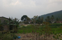 Chuyển đổi đất rừng Tam Đảo: Không làm tùy tiện