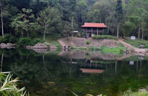 Bà Rịa – Vũng Tàu: 2/3 dự án du lịch sinh thái trong rừng bị chậm tiến độ và thu hồi