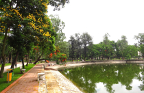 Nhòm ngó đất công cộng